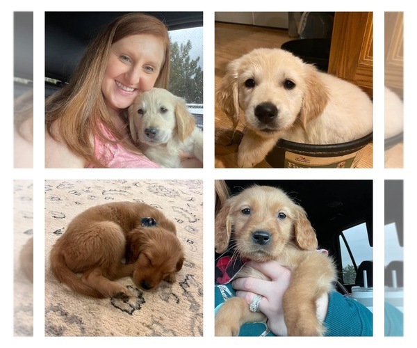 Medium Photo #8  Breeder Profile in SWEETWATER, TN, USA