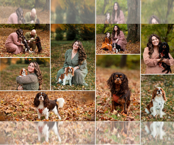 Medium Photo #1  Breeder Profile in JACKSON, OH, USA