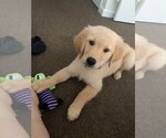 Small #34 Breeder Profile image