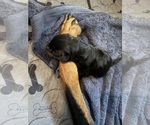 Small #3 Breeder Profile image