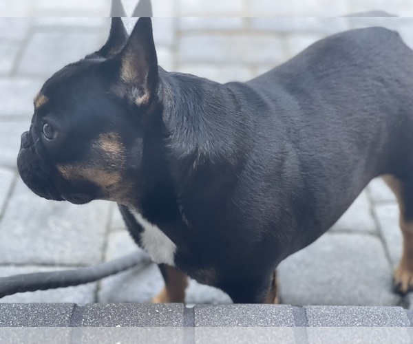 Medium Photo #29  Breeder Profile in KALISPELL, MT, USA