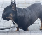 Small #28 Breeder Profile image