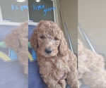 Small #3 Breeder Profile image