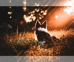 Small #16 Breeder Profile image