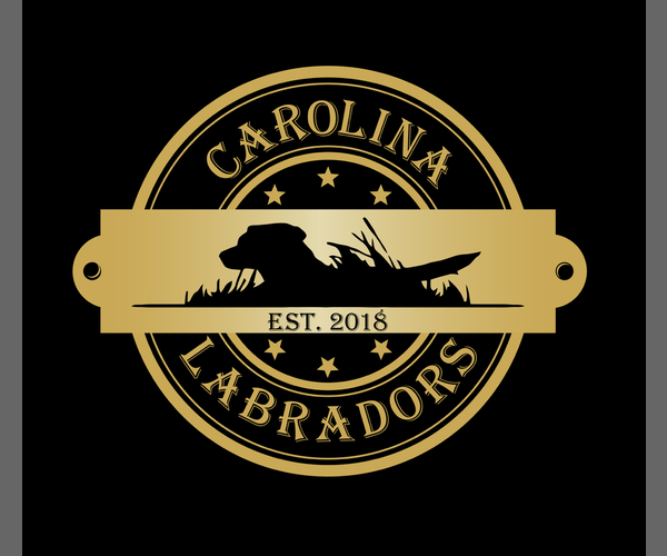 Medium Photo #1  Breeder Profile in LEXINGTON, SC, USA