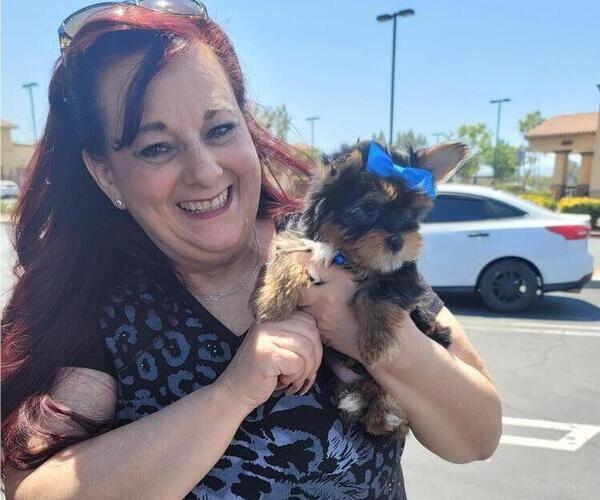 Medium Photo #3  Breeder Profile in HARKER HEIGHTS, TX, USA