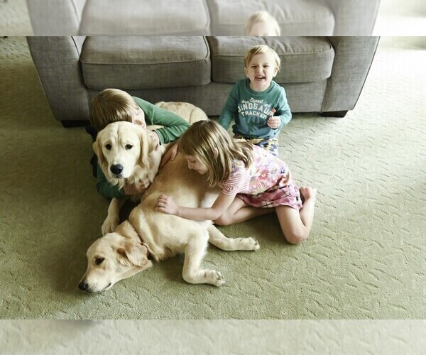 Medium Photo #9  Breeder Profile in OTTUMWA, IA, USA