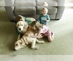 Small #8 Breeder Profile image