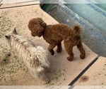 Small #28 Breeder Profile image