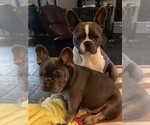 Small #21 Breeder Profile image