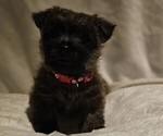 Small #4 Breeder Profile image
