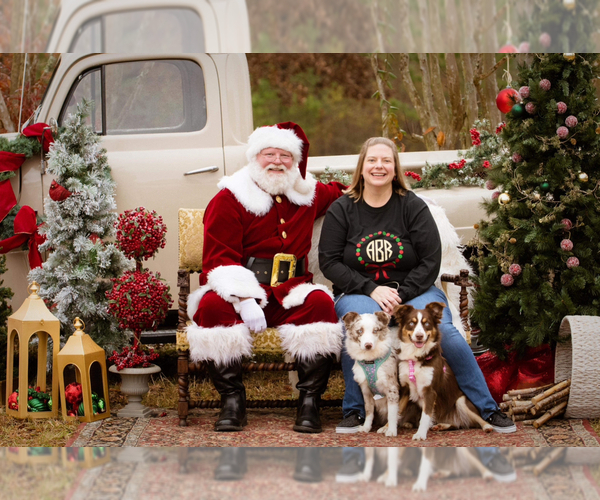 Medium Photo #14  Breeder Profile in GREENVILLE, GA, USA