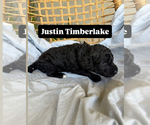 Small #5 Breeder Profile image