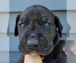 Small #6 Breeder Profile image