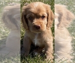 Small #8 Breeder Profile image