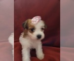Small #140 Breeder Profile image