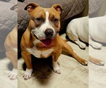 Small #14 Breeder Profile image