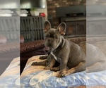 Small #24 Breeder Profile image