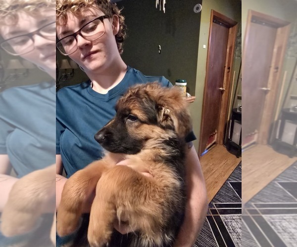 Medium Photo #11  Breeder Profile in LA FAYETTE, NY, USA