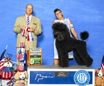 Small #2 Breeder Profile image