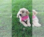 Small #8 Breeder Profile image