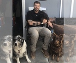 Small #46 Breeder Profile image
