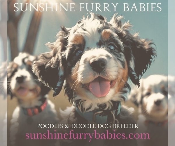 Medium Photo #1  Breeder Profile in FORTVILLE, IN, USA