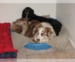 Small #27 Breeder Profile image