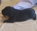 Small #7 Breeder Profile image