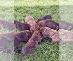 Small #4 Breeder Profile image