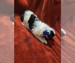 Small #23 Breeder Profile image