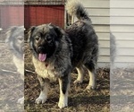 Small #22 Breeder Profile image