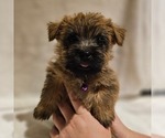 Small #3 Breeder Profile image