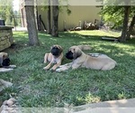 Small #5 Breeder Profile image