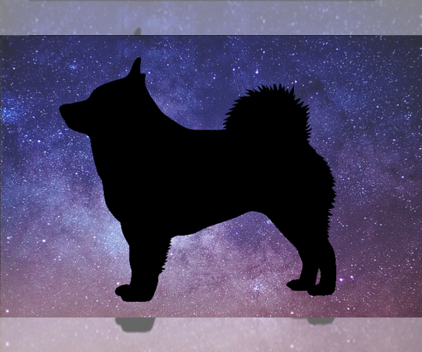 Medium Photo #1  Breeder Profile in ADA, OK, USA