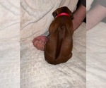 Small #35 Breeder Profile image