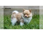 Small #5 Breeder Profile image