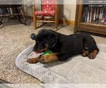 Small #6 Breeder Profile image