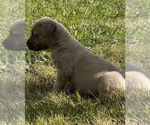 Small #7 Breeder Profile image