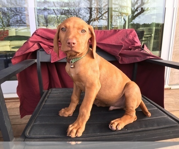 Medium Photo #3  Breeder Profile in FISCHER, TX, USA