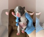 Small #2 Breeder Profile image