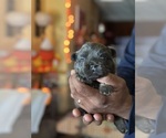 Small #34 Breeder Profile image