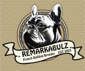 French Bulldog Dog Breeder near PEWAUKEE, WI, USA