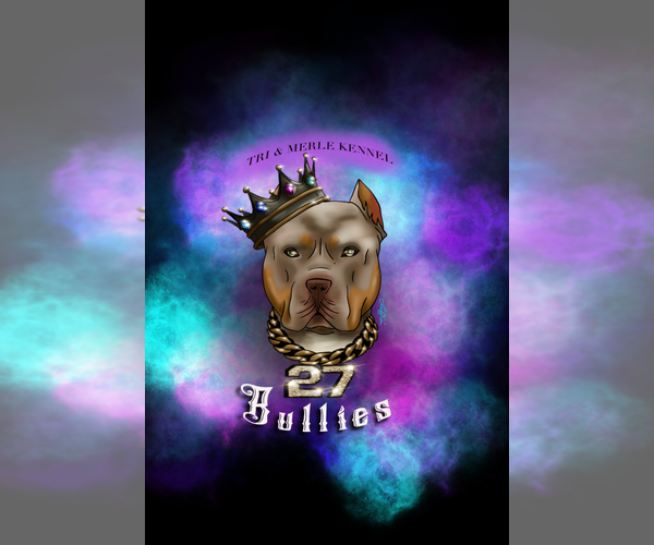 Medium Photo #1  Breeder Profile in BIRMINGHAM, AL, USA