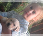 Small #3 Breeder Profile image
