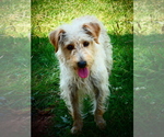 Small #7 Breeder Profile image