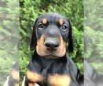 Small #50 Breeder Profile image