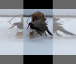 Small #5 Breeder Profile image