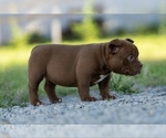 Small #6 Breeder Profile image