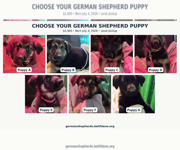 Medium Photo #1  Breeder Profile in HUBER HEIGHTS, OH, USA